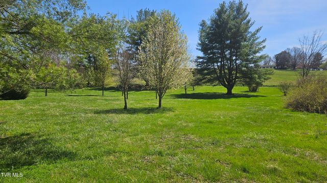 381 Newt Good Road, Limestone, TN 37681
