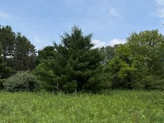 Lot 4 Church Street, Merrimac, WI 53561
