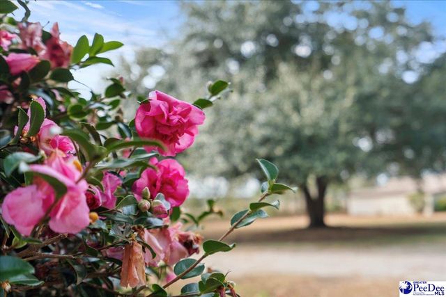 618 E Cricklewood Dr., Florence, SC 29505