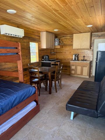 230 E Woodland Shores Drive, Point Blank, TX 77364