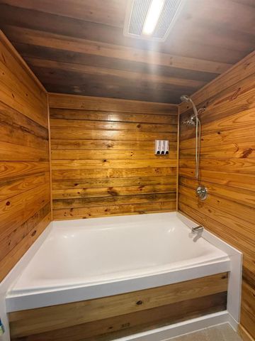 230 E Woodland Shores Drive, Point Blank, TX 77364