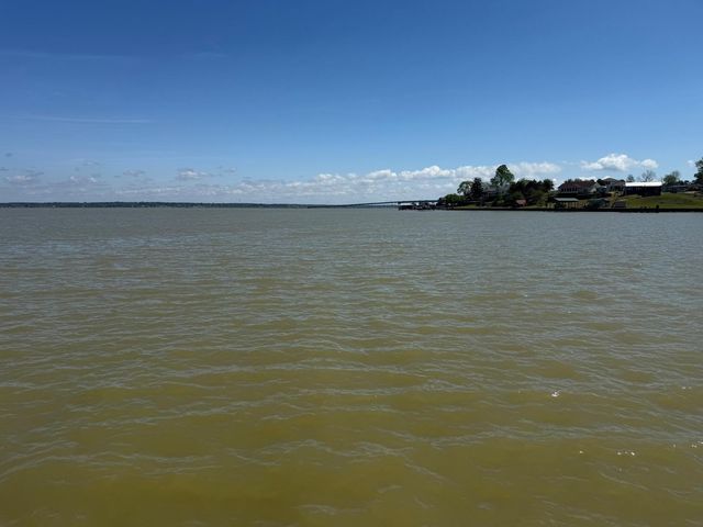 230 E Woodland Shores Drive, Point Blank, TX 77364