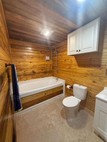 230 E Woodland Shores Drive, Point Blank, TX 77364