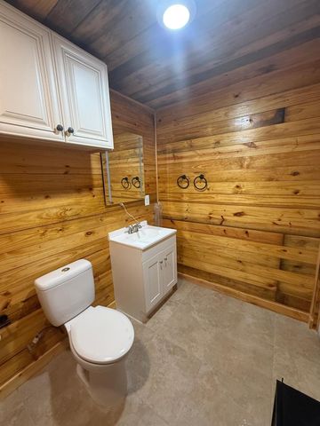 230 E Woodland Shores Drive, Point Blank, TX 77364