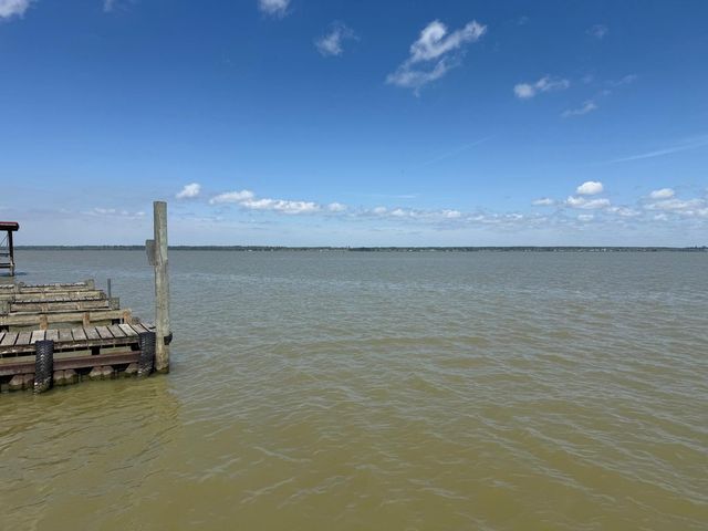 230 E Woodland Shores Drive, Point Blank, TX 77364