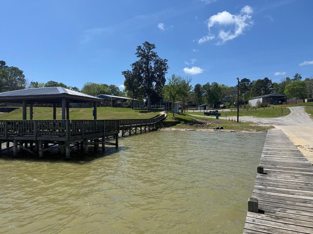 230 E Woodland Shores Drive, Point Blank, TX 77364