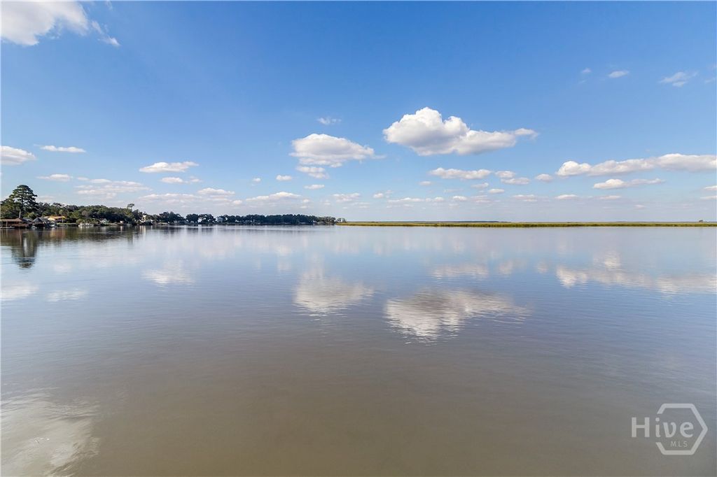 Image 41 of property listing at 30 Williamson Drive, Richmond Hill, GA 31324