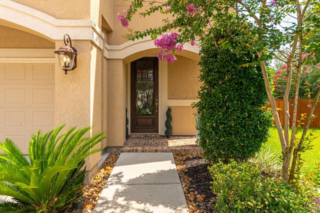 226 Skybranch Court, Conroe, TX 77304