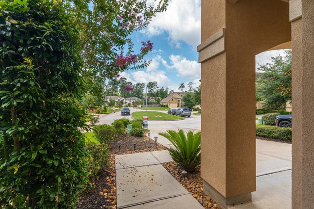 226 Skybranch Court, Conroe, TX 77304