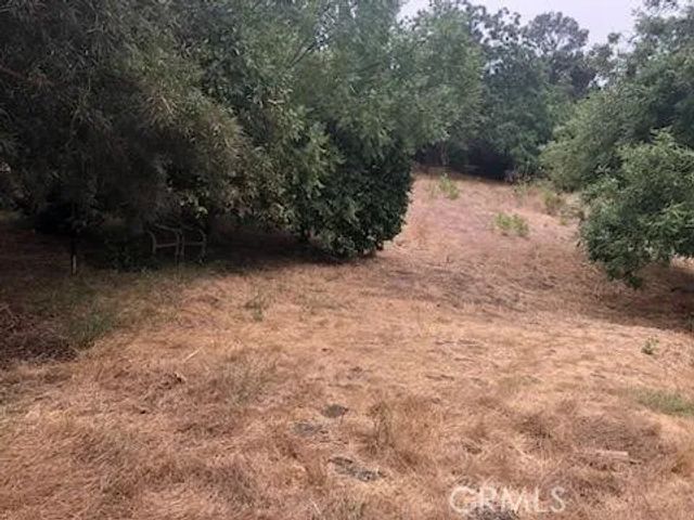 3708 Richardson, Los Angeles, CA 91605
