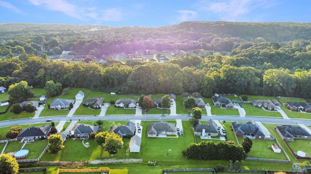 115 Hidden Creek Drive, Trinity, AL 35673