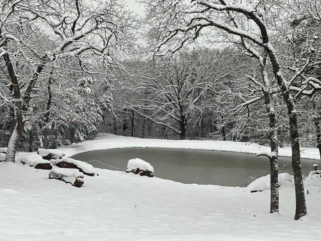 1619 Bloomfield Road, Valley View, TX 76272