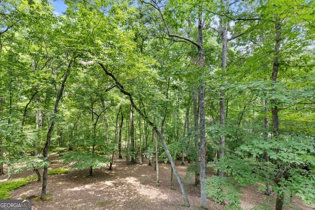 100 Arbor Way, Blue Ridge, GA 30513