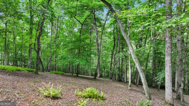 100 Arbor Way, Blue Ridge, GA 30513