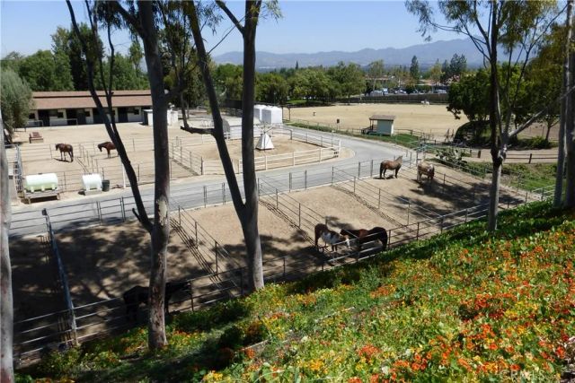 3242 San Amadeo 3F, Laguna Woods, CA 92637