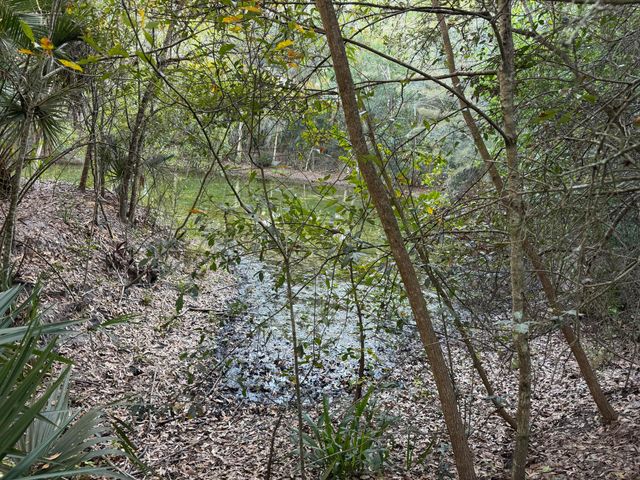 16556 Rustic Road, Wellington, FL 33470