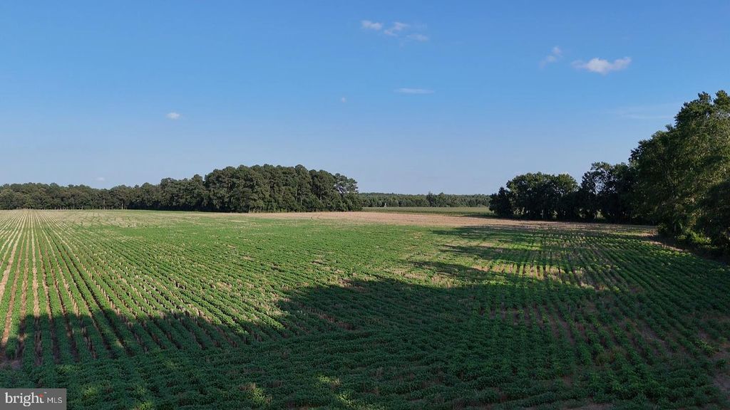 6.5 ACRES RUSSELL RD, Bridgeville, DE 19933