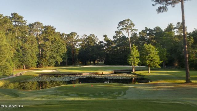 7321 Ieke Circle, Diamondhead, MS 39525