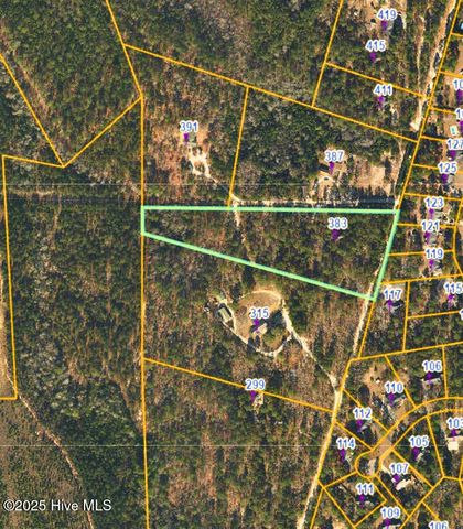 383 Ellis Lane, West End, NC 27376