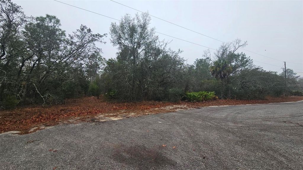 0 INDIAN TRAIL ROAD, Weeki Wachee, FL 34613