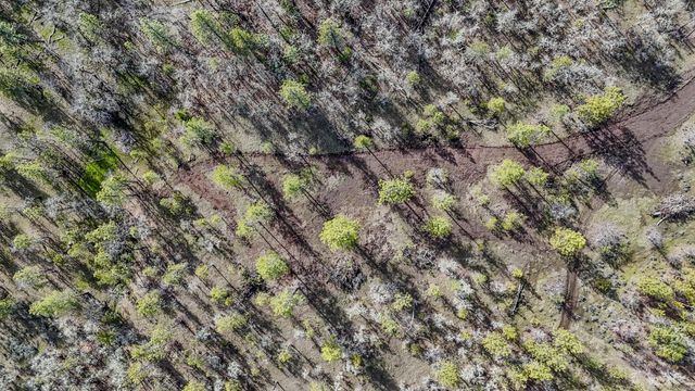 506 Greenleaf Drive, Eagle Point, OR 97524