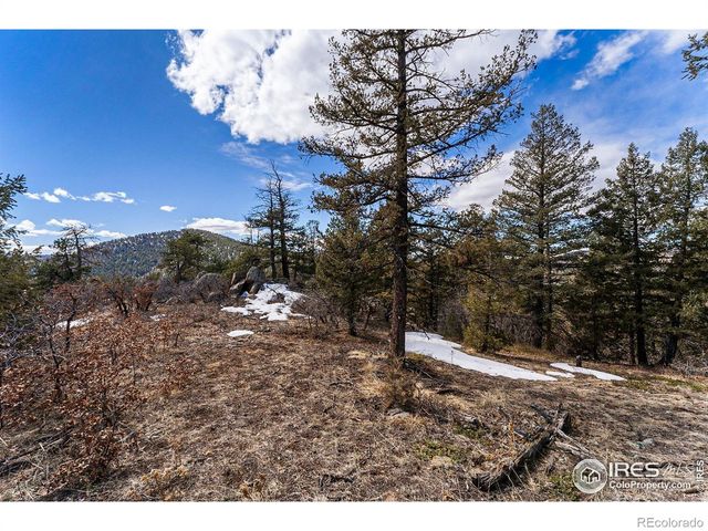 15111 Elk Mountain Trail, Littleton, CO 80127