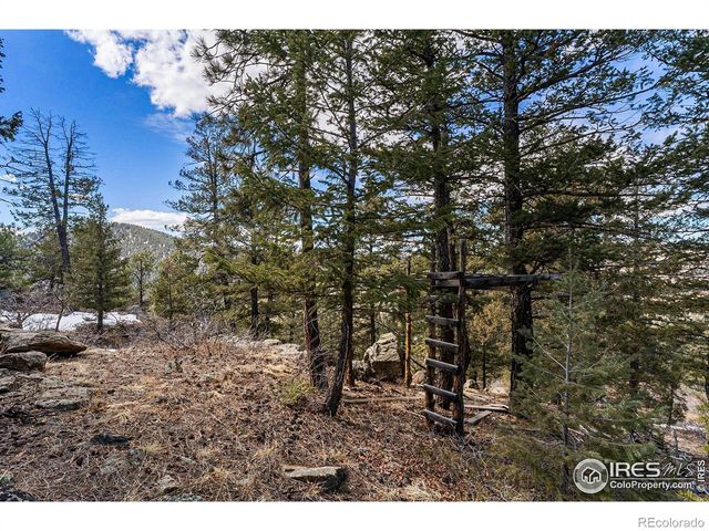 15111 Elk Mountain Trail, Littleton, CO 80127