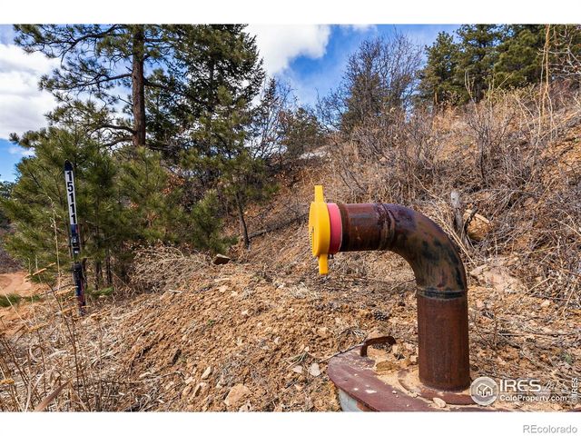 15111 Elk Mountain Trail, Littleton, CO 80127