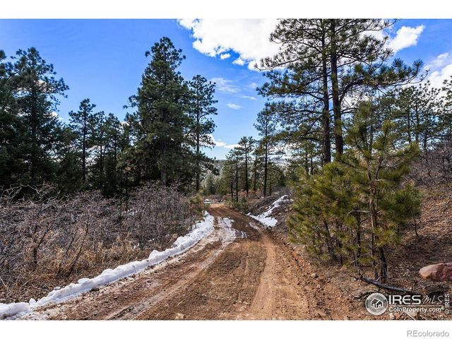 15111 Elk Mountain Trail, Littleton, CO 80127