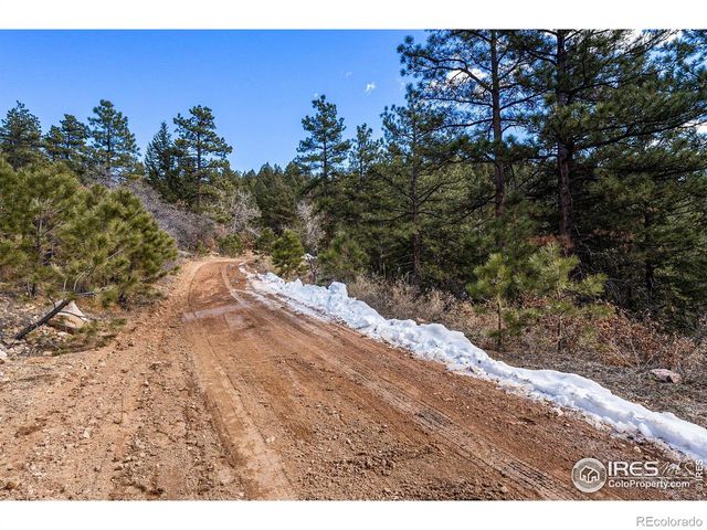 15111 Elk Mountain Trail, Littleton, CO 80127