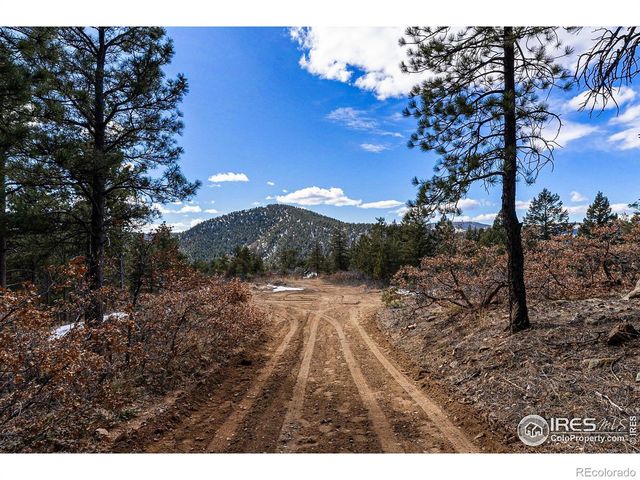 15111 Elk Mountain Trail, Littleton, CO 80127