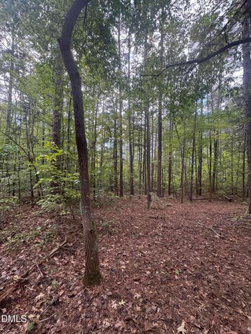 00 New Mayo Drive Drive, Roxboro, NC 27574