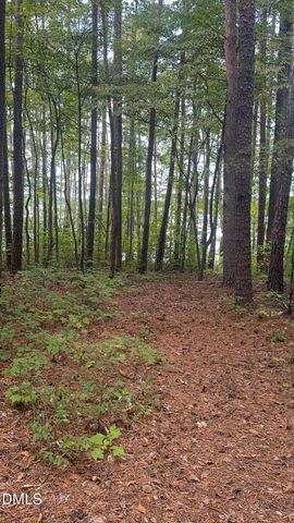 00 New Mayo Drive Drive, Roxboro, NC 27574