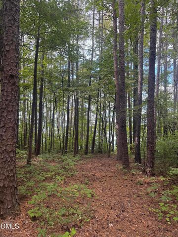 00 New Mayo Drive Drive, Roxboro, NC 27574