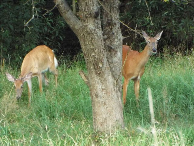 25 Linton Alley, East Bethlehem, PA 15333