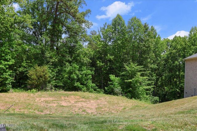 Lot 33 English Ivy Trail Lot 33, Jonesborough, TN 37659