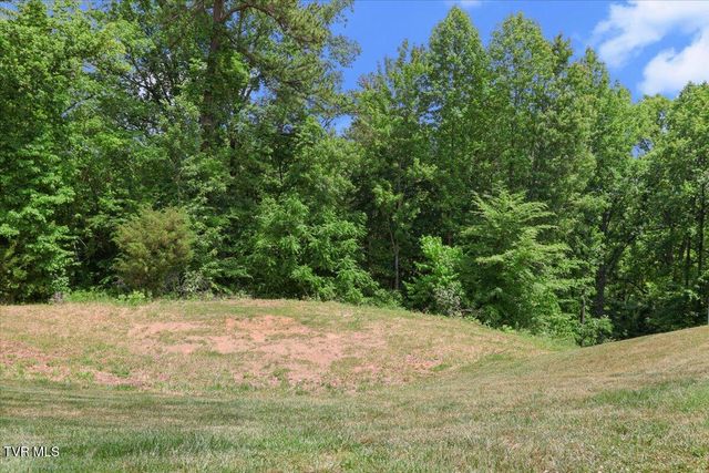 Lot 33 English Ivy Trail Lot 33, Jonesborough, TN 37659