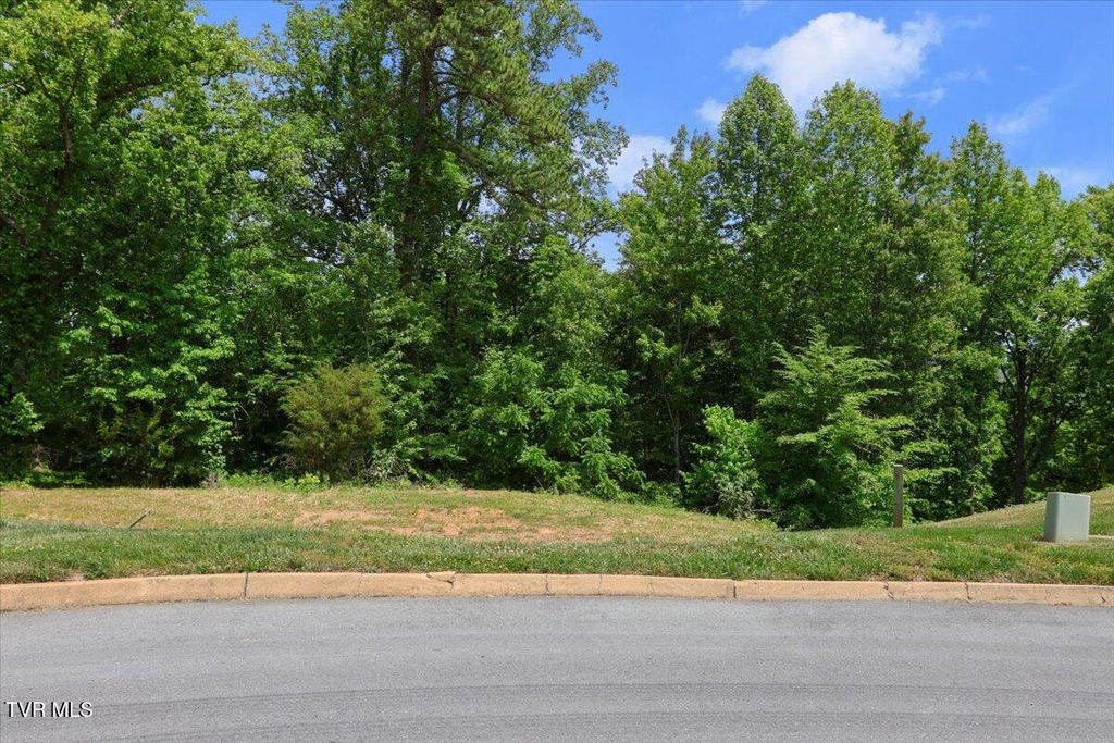 Lot 33 English Ivy Trail Lot 33, Jonesborough, TN 37659