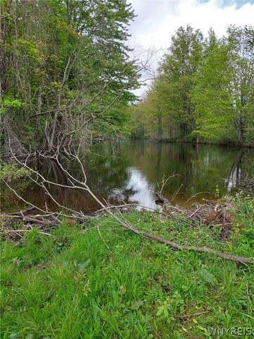 2978 Brown Street, Collins, NY 14034