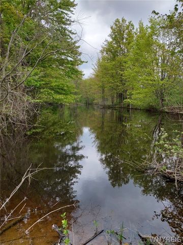 2978 Brown Street, Collins, NY 14034