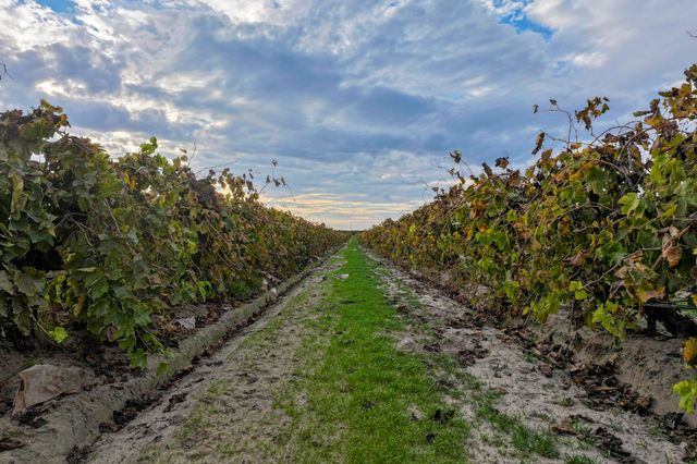 11836 S Hughes Avenue, Caruthers, CA 93609