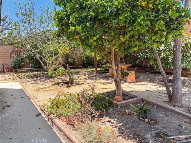 2507 S Patton, San Pedro, CA 90731