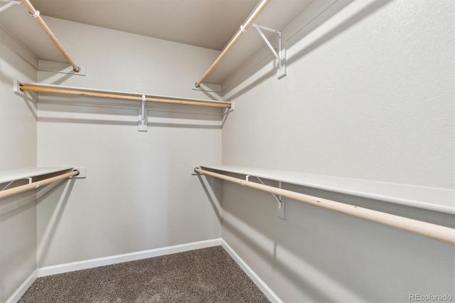 287 Shoveler Way, Johnstown, CO 80534