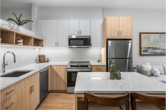 111 W Illinois Street 1013, Chicago, IL 60654