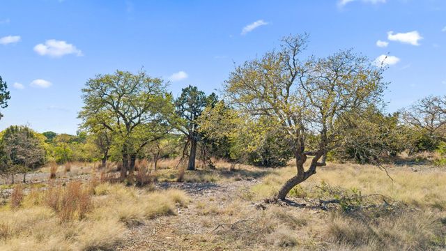 15407 Fitzhugh RD, Dripping Springs, TX 78620