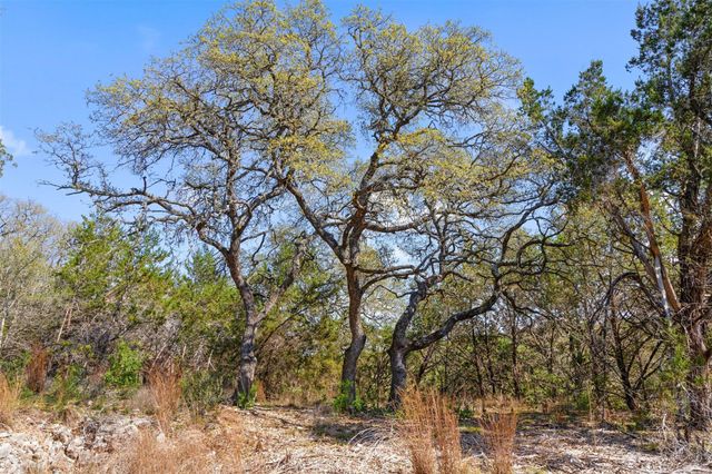 15407 Fitzhugh RD, Dripping Springs, TX 78620