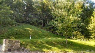 329 Berg Crossing Drive, Augusta, MO 63332