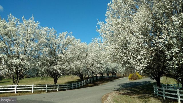 5501 HICKORY TREE LN, Mineral, VA 23117