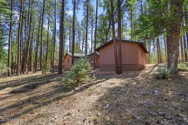 287 S LOOKOUT Trail, Payson, AZ 85541