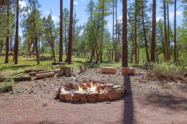 287 S LOOKOUT Trail, Payson, AZ 85541